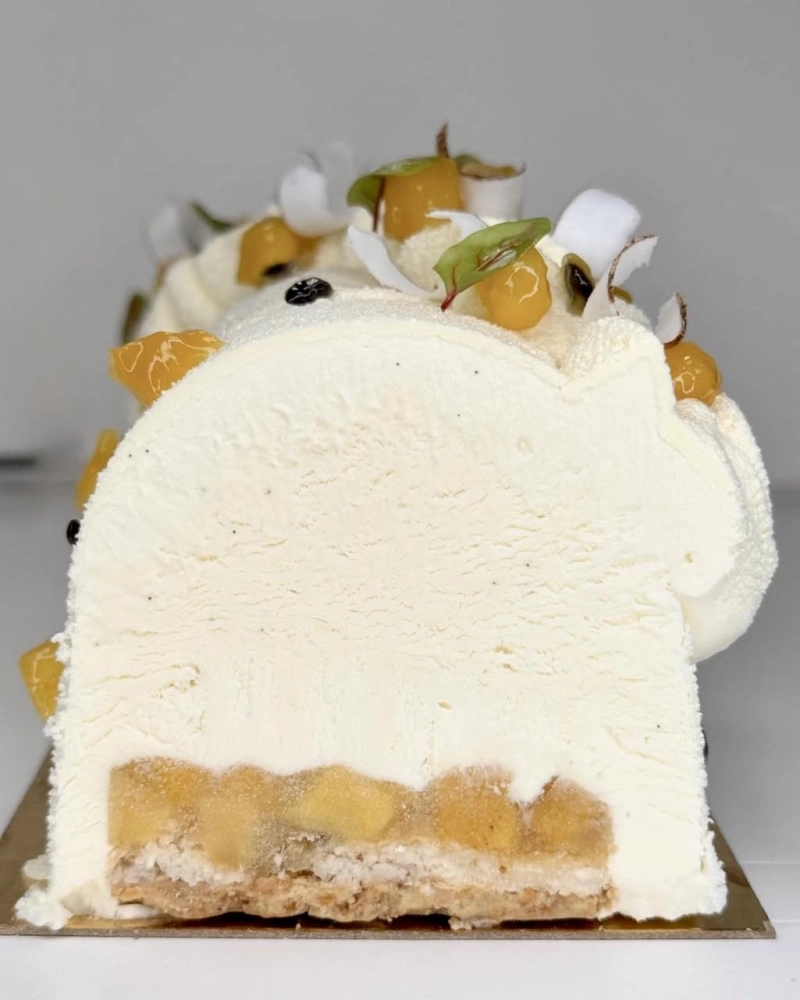 Bûche entremet exotique – Une création artisanale aux saveurs ensoleillées